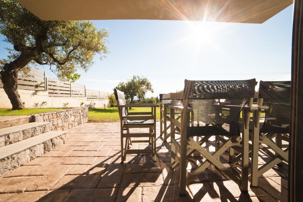 Olivia Estate Villa With Private Swimming Pool Elia Nikitis Exterior photo