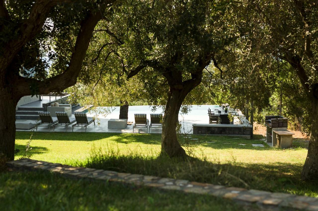 Olivia Estate Villa With Private Swimming Pool Elia Nikitis Exterior photo