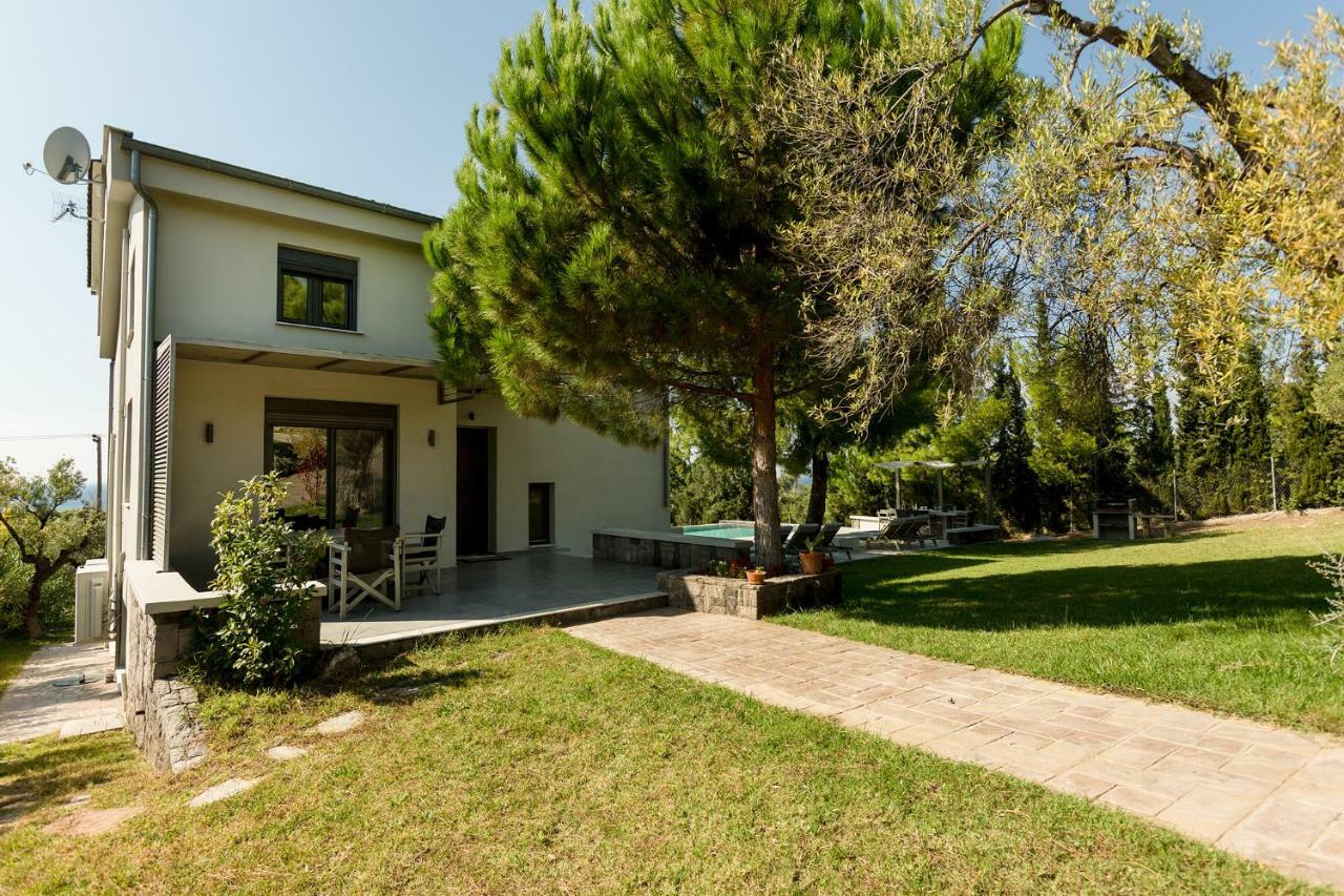 Olivia Estate Villa With Private Swimming Pool Elia Nikitis Exterior photo