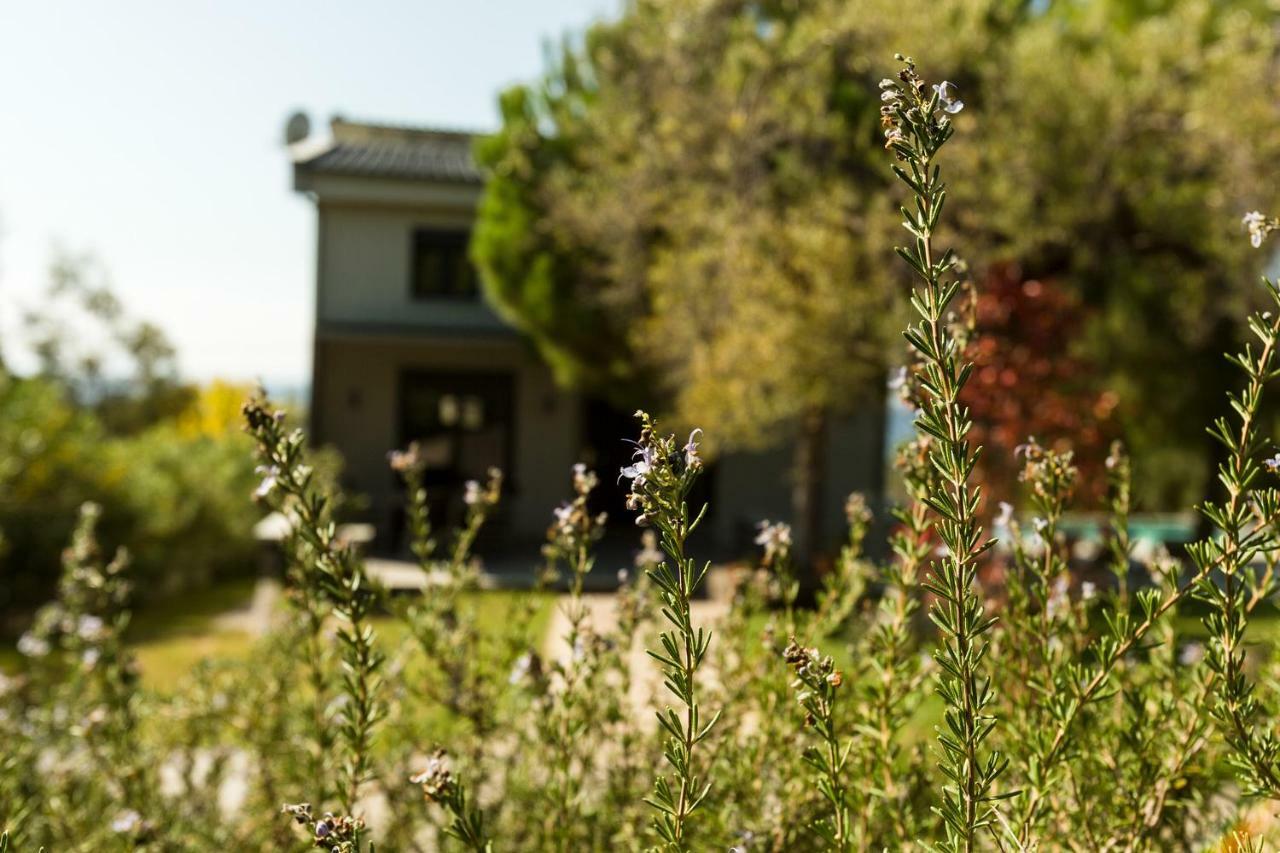 Olivia Estate Villa With Private Swimming Pool Elia Nikitis Exterior photo